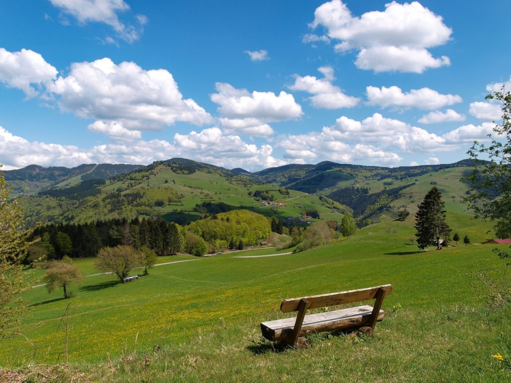 Der Schwarzwald und seine Weiden 